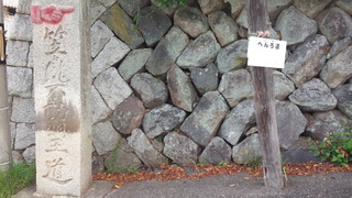 DSC_0157.jpg