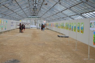 DSC_0213.jpg