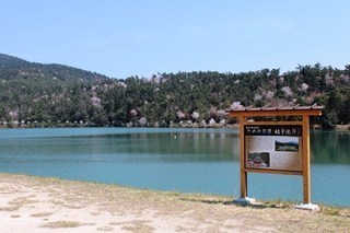 E38195E3818FE38289E381AEE6A3AEE291A1-thumbnail2.jpg