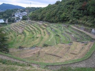画像 237.jpg