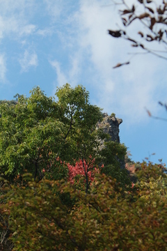 H29.11.2-3.JPG