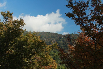 H29.11.2-7.JPG