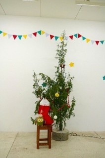 IMGP2556-s-thumbnail2.jpg