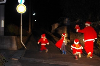 IMGP2613-thumbnail2.jpg