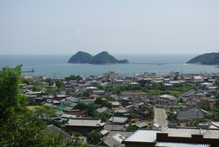 IMGP3392-thumbnail2-f9046-thumbnail2.jpg