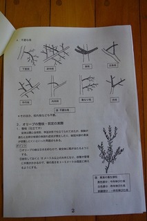 IMGP3861.jpg