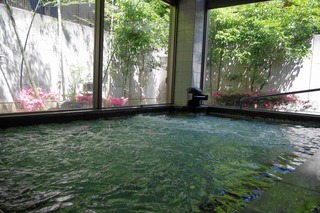 IMGP6258s-.jpg
