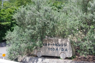 IMGP6289s-.jpg