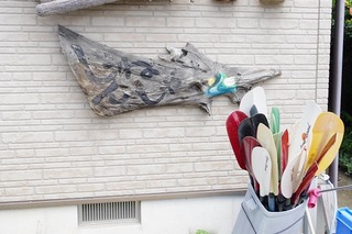 IMGP6481s-.jpg