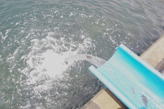 IMGP7115s-.jpg