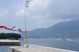 IMGP7142s-.jpg