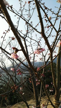 IMG_0105.JPG