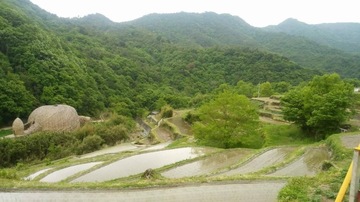 IMG_0141.JPG