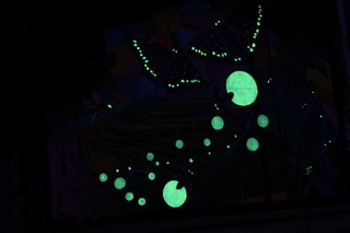 IMG_0536.jpg