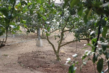 IMG_1146.JPG