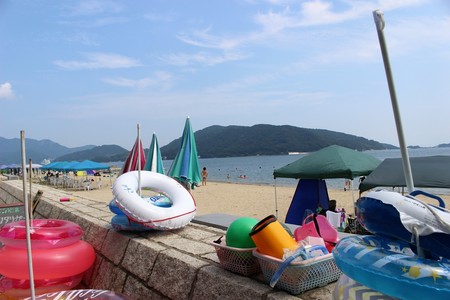 IMG_1217-c5e1a.jpeg