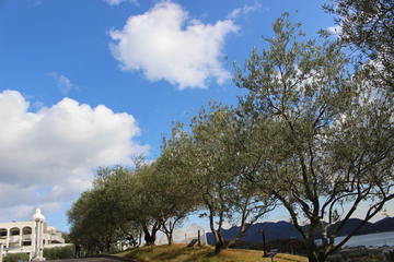 IMG_1361.JPG
