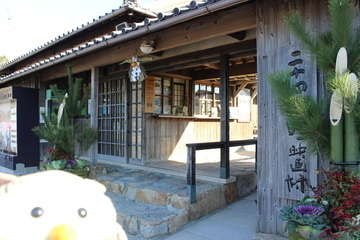 IMG_1493-85610-thumbnail2.jpg
