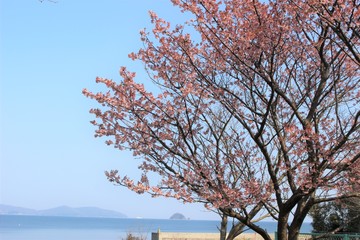 IMG_1554.JPG