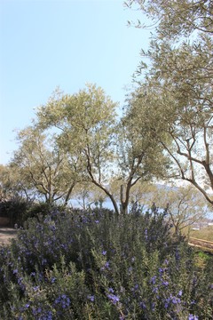 IMG_1568.JPG