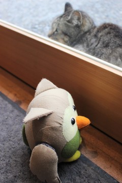 IMG_1663.JPG