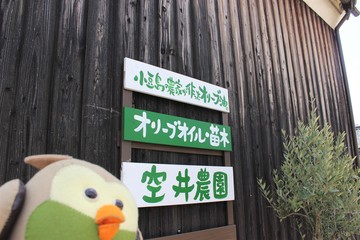 IMG_2057.JPG