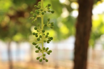 IMG_2373.JPG