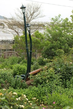IMG_2509.JPG