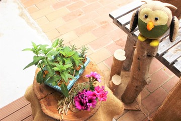 IMG_2525.JPG