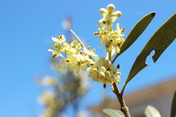 IMG_2792.JPG