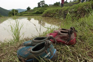 IMG_3281.JPG