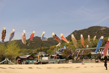 IMG_3603.JPG