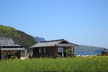IMG_3676.JPG