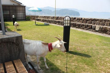 IMG_3768.JPG