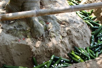 IMG_3830.JPG