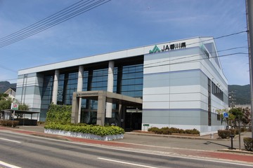 IMG_4367.JPG