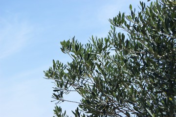 IMG_4373.JPG
