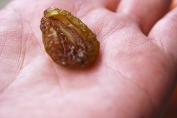 IMG_4781.JPG