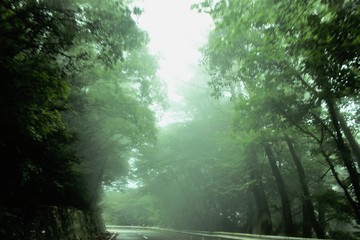 IMG_4858.JPG