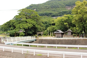 IMG_4901.JPG