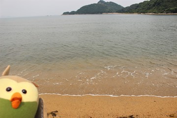 IMG_4910.JPG