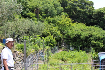 IMG_5471.JPG