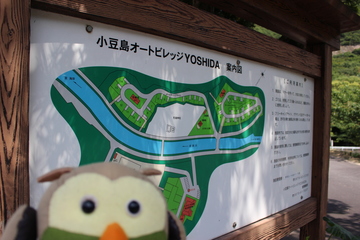 IMG_5549.JPG