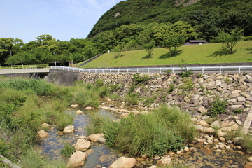 IMG_5553.JPG