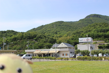 IMG_5560.JPG