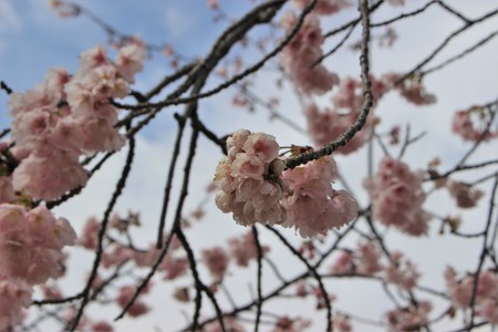 IMG_6613.JPG
