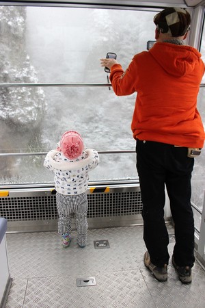 IMG_7982.JPG