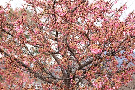 IMG_8043.JPG