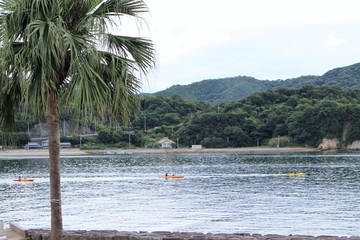 IMG_8074.JPG