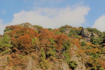 IMG_8804.JPG